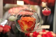 выставка IMG_8182.JPG