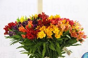выставка IMG_8236.JPG