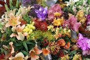 выставка IMG_8424.JPG