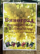01 IMG_3772.jpg