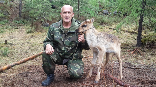 Восточный Саян. Тофалария. Русин Сергей Николаевич. 7.jpg Восточный Саян. Тофалария. Русин Сергей Николаевич. 7.jpg