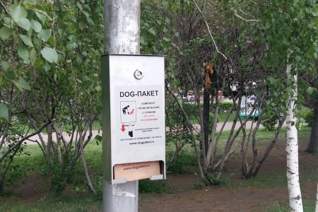 догпакеты.jpg