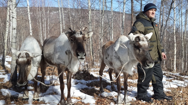 Тофалария. Русин Сергей Николаевич 45.jpg Тофалария. Русин Сергей Николаевич 45.jpg