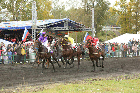 скачки.jpg