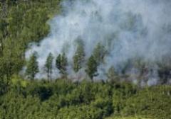 Рекомендации населению по поведению в условиях высокой задымленности от лесных пожаров